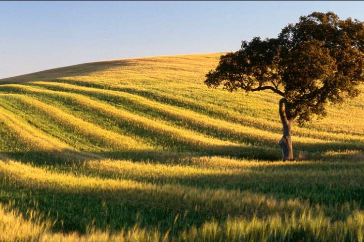 Alentej landscape in Portugal